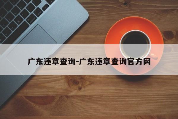 广东违章查询-广东违章查询官方网