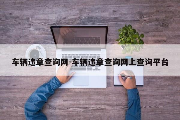 车辆违章查询网-车辆违章查询网上查询平台