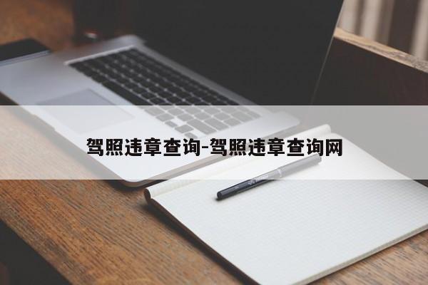 驾照违章查询-驾照违章查询网