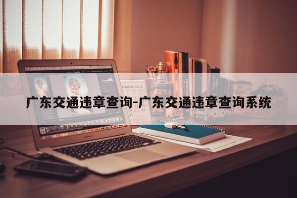 广东交通违章查询-广东交通违章查询系统