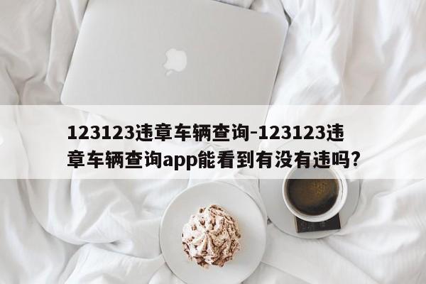 123123违章车辆查询-123123违章车辆查询app能看到有没有违吗?