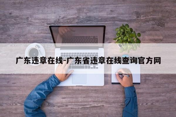 广东违章在线-广东省违章在线查询官方网