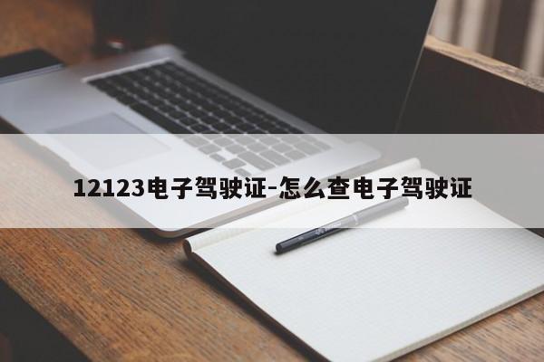 12123电子驾驶证-怎么查电子驾驶证