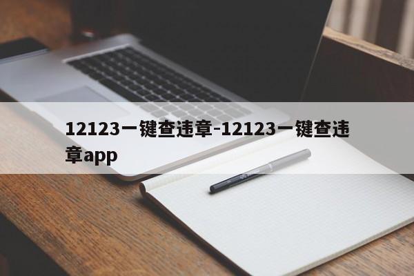 12123一键查违章-12123一键查违章app