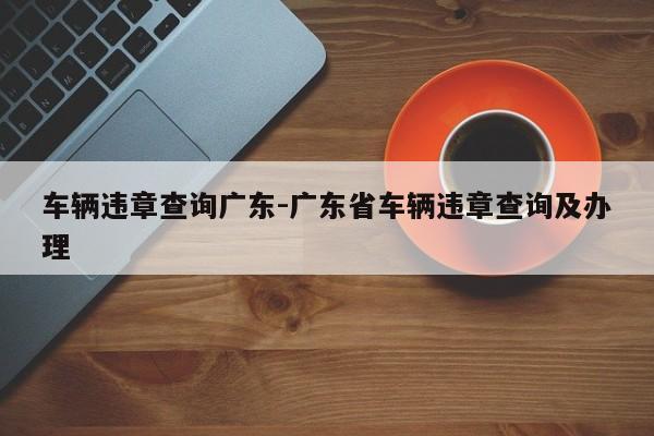 车辆违章查询广东-广东省车辆违章查询及办理