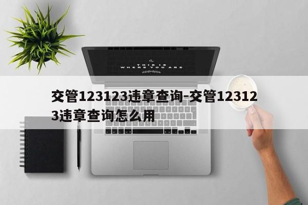 交管123123违章查询-交管123123违章查询怎么用