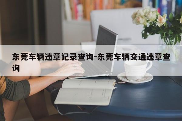 东莞车辆违章记录查询-东莞车辆交通违章查询