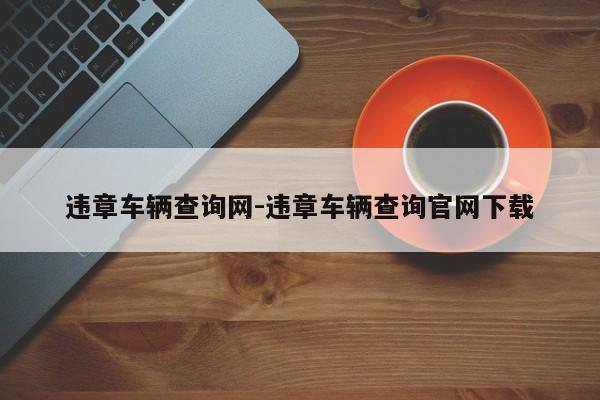 违章车辆查询网-违章车辆查询官网下载