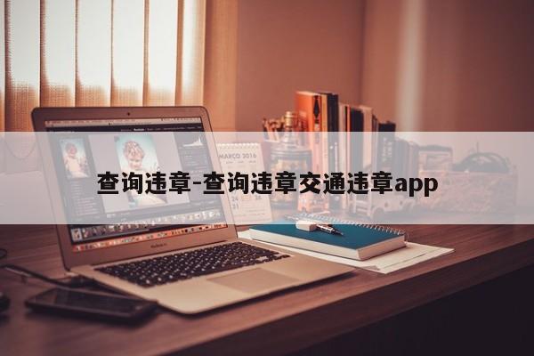 查询违章-查询违章交通违章app