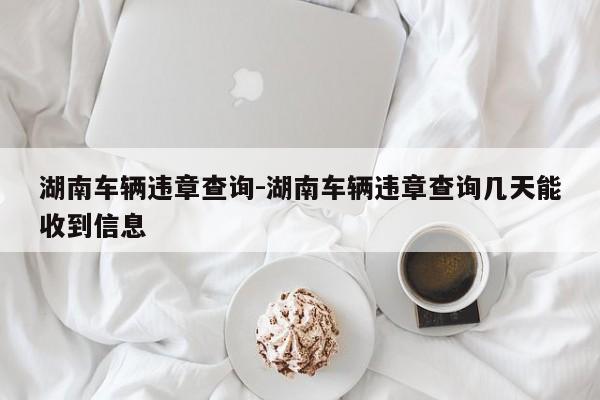 湖南车辆违章查询-湖南车辆违章查询几天能收到信息