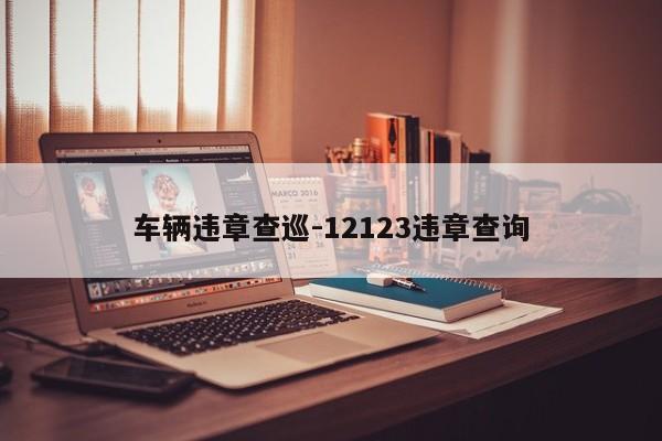 车辆违章查巡-12123违章查询