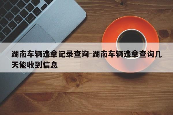 湖南车辆违章记录查询-湖南车辆违章查询几天能收到信息