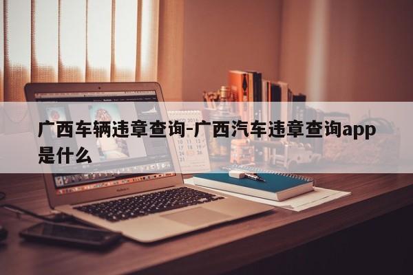 广西车辆违章查询-广西汽车违章查询app是什么