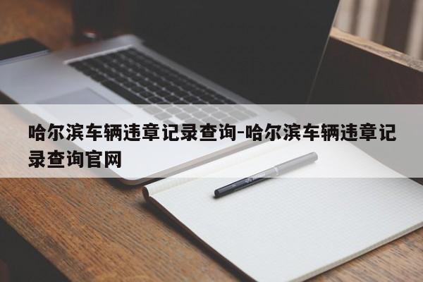 哈尔滨车辆违章记录查询-哈尔滨车辆违章记录查询官网