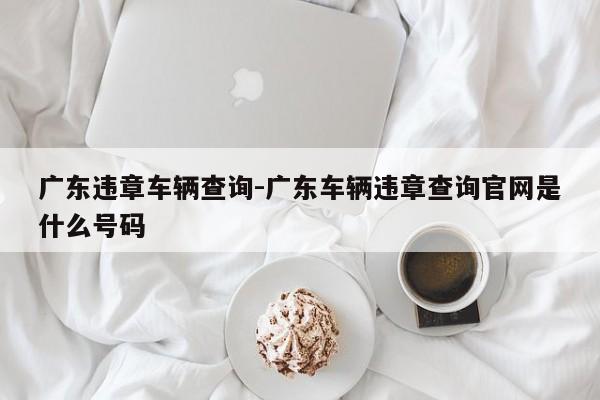 广东违章车辆查询-广东车辆违章查询官网是什么号码