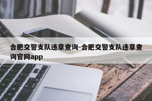 合肥交警支队违章查询-合肥交警支队违章查询官网app