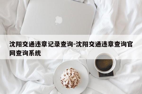 沈阳交通违章记录查询-沈阳交通违章查询官网查询系统