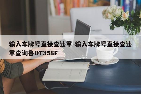 输入车牌号直接查违章-输入车牌号直接查违章查询鲁DT358F