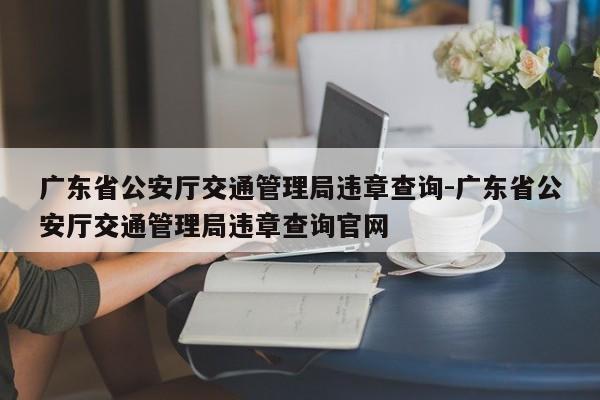 广东省公安厅交通管理局违章查询-广东省公安厅交通管理局违章查询官网