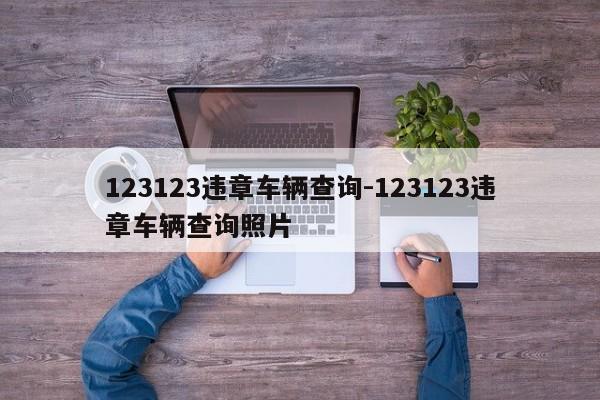 123123违章车辆查询-123123违章车辆查询照片