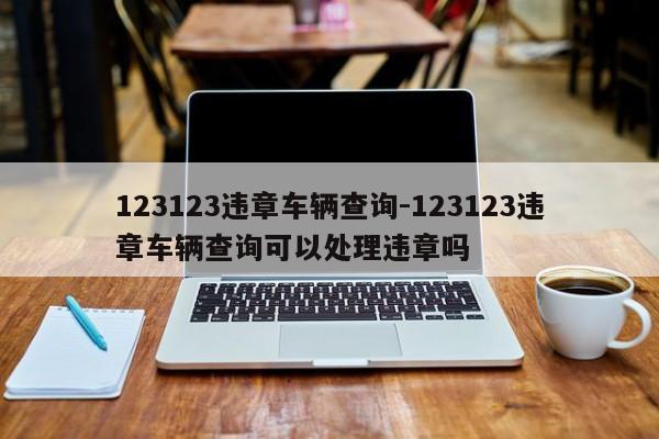 123123违章车辆查询-123123违章车辆查询可以处理违章吗