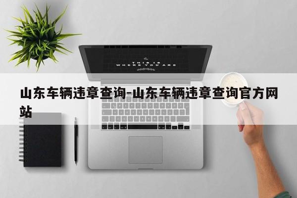 山东车辆违章查询-山东车辆违章查询官方网站