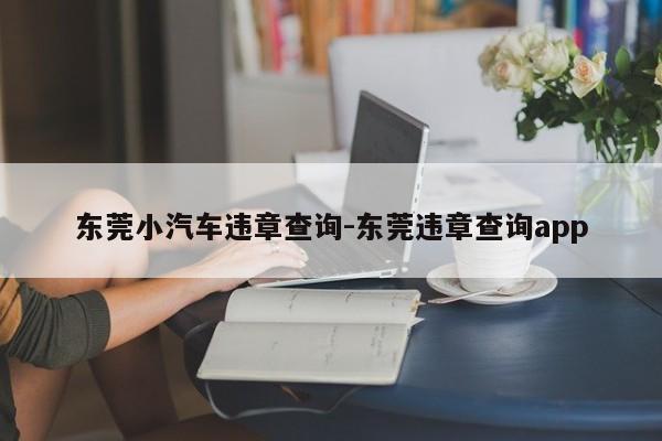 东莞小汽车违章查询-东莞违章查询app