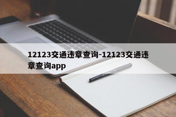 12123交通违章查询-12123交通违章查询app