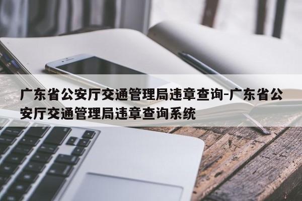 广东省公安厅交通管理局违章查询-广东省公安厅交通管理局违章查询系统