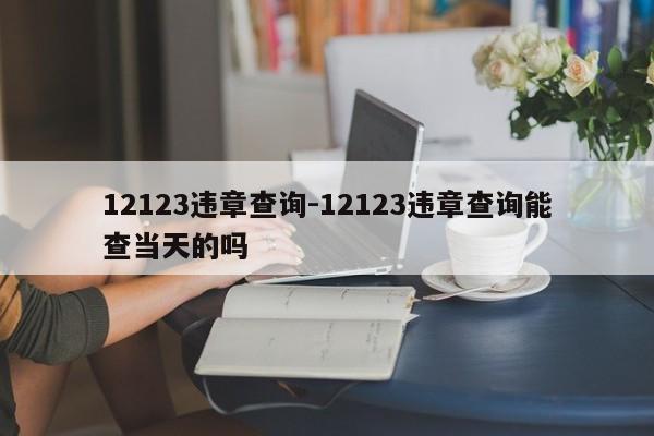 12123违章查询-12123违章查询能查当天的吗