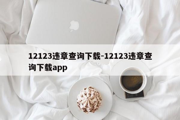 12123违章查询下载-12123违章查询下载app