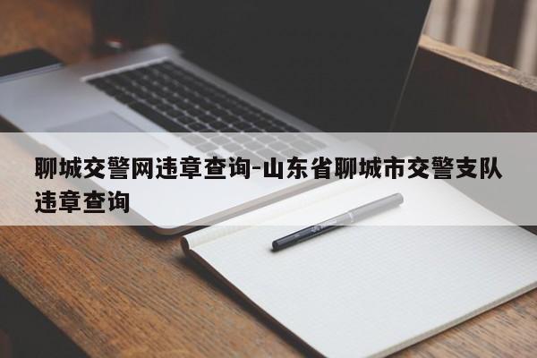 聊城交警网违章查询-山东省聊城市交警支队违章查询